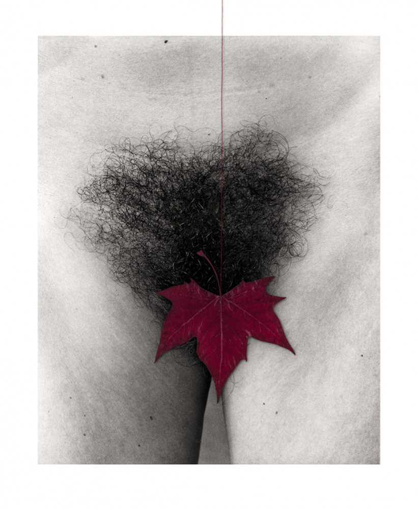 Eva en rojo (El libro del sexo) - ESTHER FERRER - GEF 01/2012